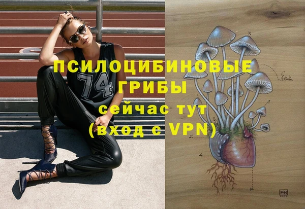 хмурый Богданович