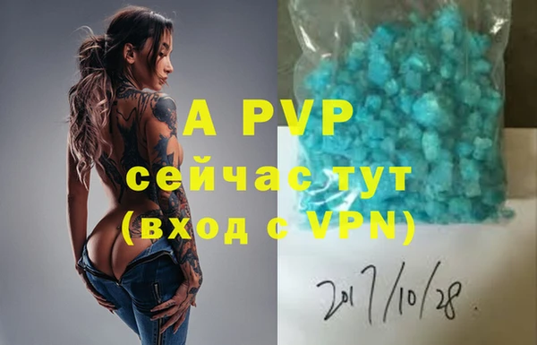 хмурый Богданович