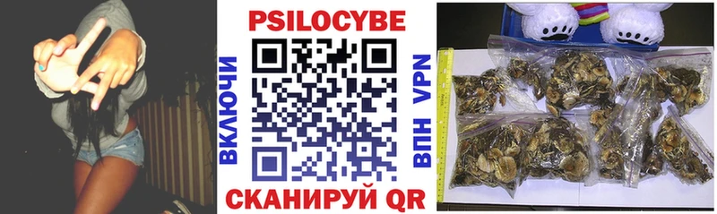 Галлюциногенные грибы MAGIC MUSHROOMS  Купить  Нефтекумск 